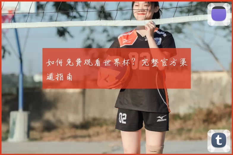 如何免费观看世界杯？完整官方渠道指南