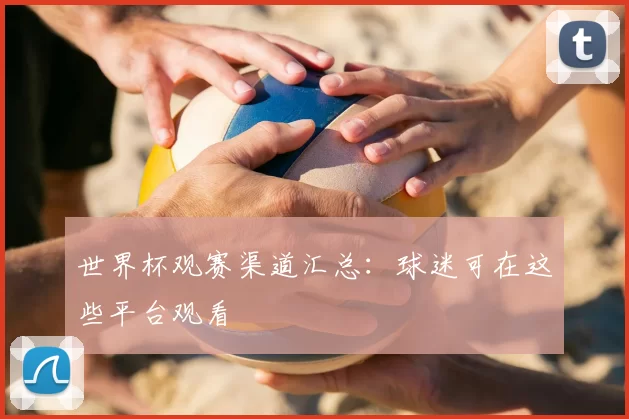 世界杯观赛渠道汇总：球迷可在这些平台观看