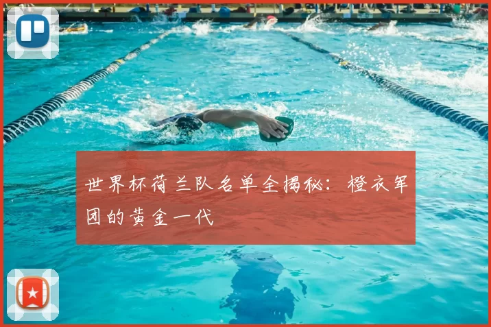 世界杯荷兰队名单全揭秘：橙衣军团的黄金一代