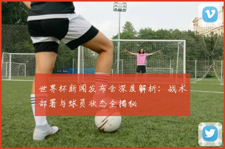 世界杯新闻发布会深度解析：战术部署与球员状态全揭秘