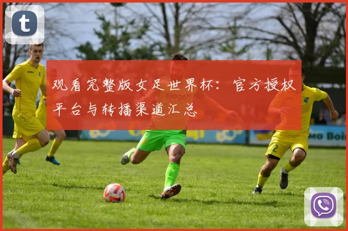 观看完整版女足世界杯：官方授权平台与转播渠道汇总