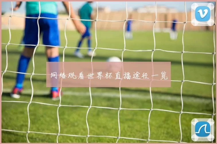 网络观看世界杯直播途径一览