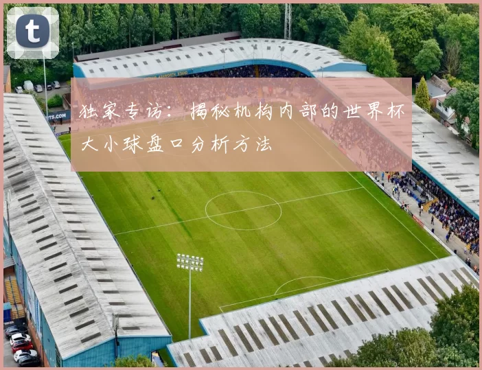 独家专访:揭秘机构内部的世界杯大小球盘口分析方法