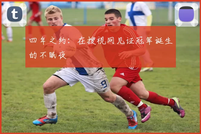 四年之约：在搜视网见证冠军诞生的不眠夜