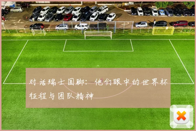 对话瑞士国脚：他们眼中的世界杯征程与团队精神
