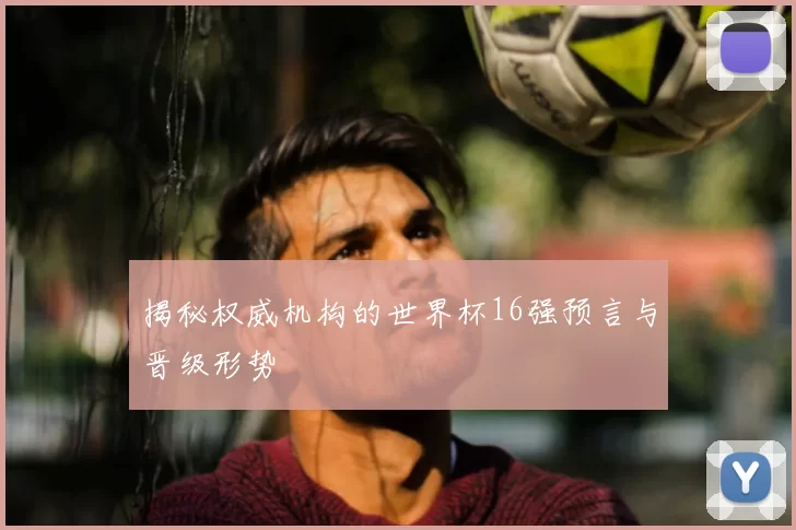 揭秘权威机构的世界杯16强预言与晋级形势