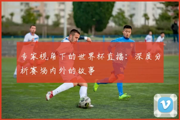 专家视角下的世界杯直播：深度分析赛场内外的故事