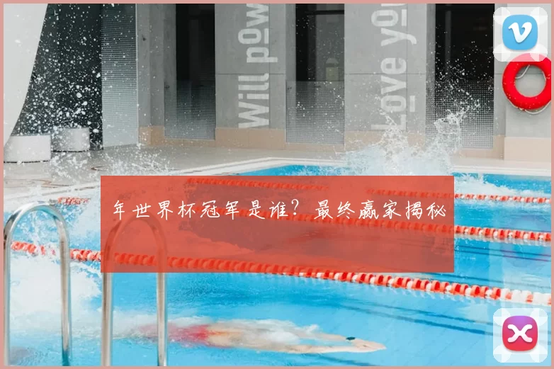 年世界杯冠军是谁?最终赢家揭秘