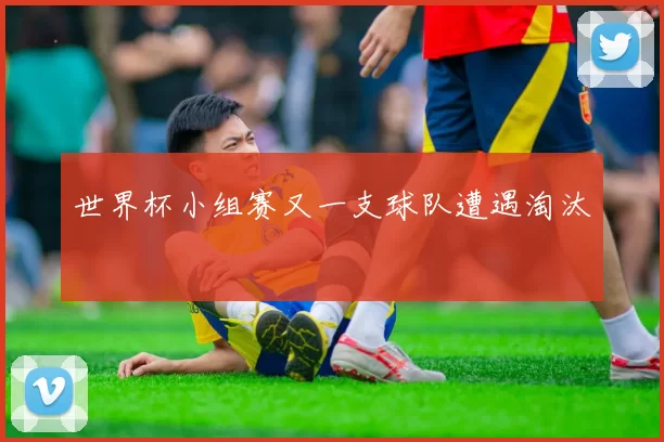 世界杯小组赛又一支球队遭遇淘汰