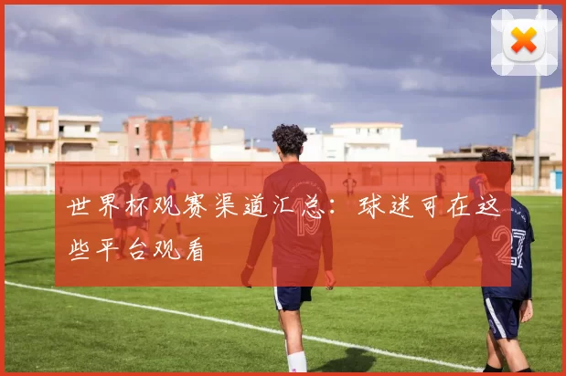 世界杯观赛渠道汇总：球迷可在这些平台观看