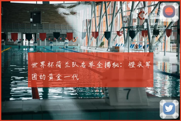 世界杯荷兰队名单全揭秘:橙衣军团的黄金一代