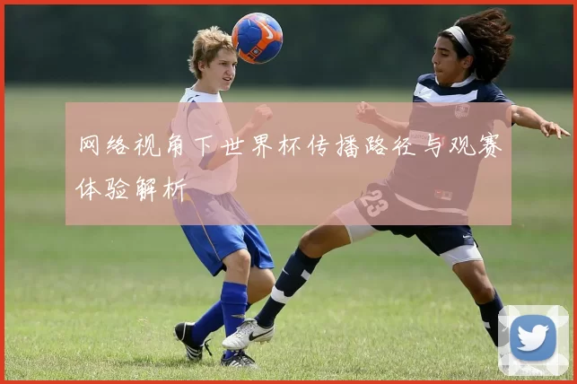 网络视角下世界杯传播路径与观赛体验解析