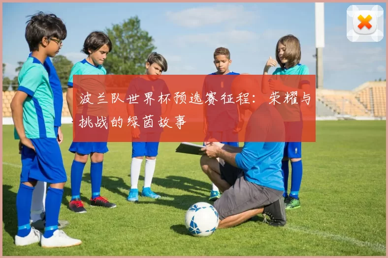 波兰队世界杯预选赛征程：荣耀与挑战的绿茵故事