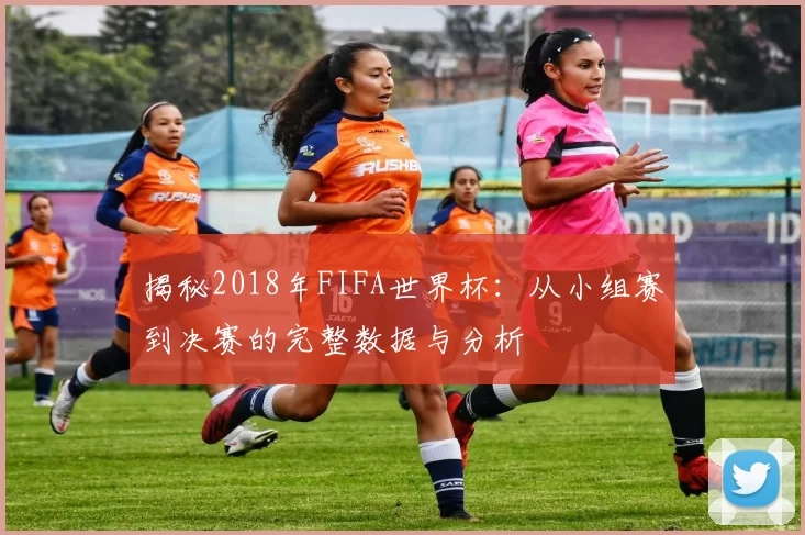 揭秘2018年FIFA世界杯:从小组赛到决赛的完整数据与分析
