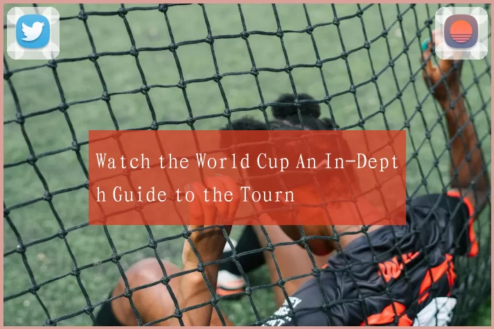 Watch the World Cup An In-Depth Guide to the Tourn