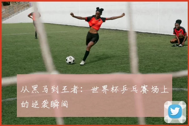 从黑马到王者：世界杯乒乓赛场上的逆袭瞬间