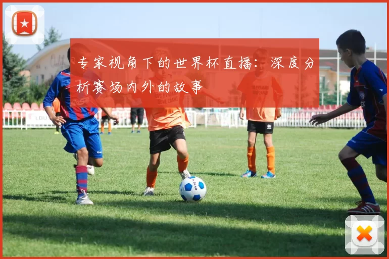 专家视角下的世界杯直播:深度分析赛场内外的故事