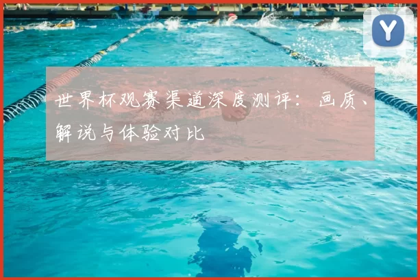 世界杯观赛渠道深度测评：画质、解说与体验对比