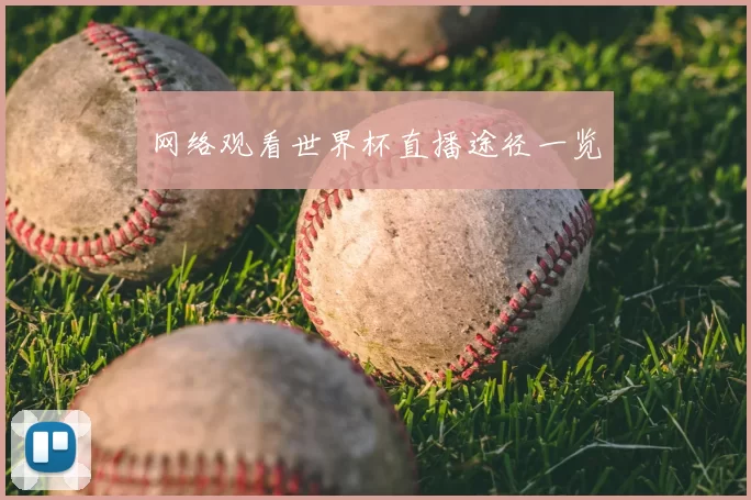 网络观看世界杯直播途径一览
