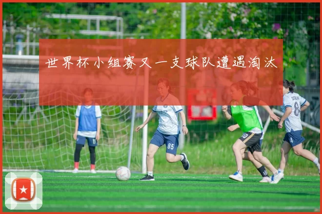 世界杯小组赛又一支球队遭遇淘汰
