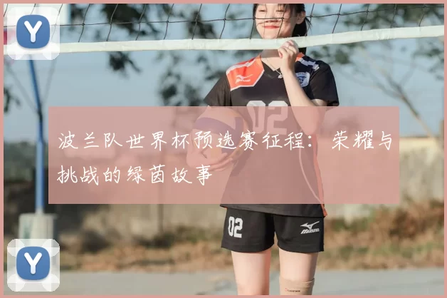 波兰队世界杯预选赛征程：荣耀与挑战的绿茵故事