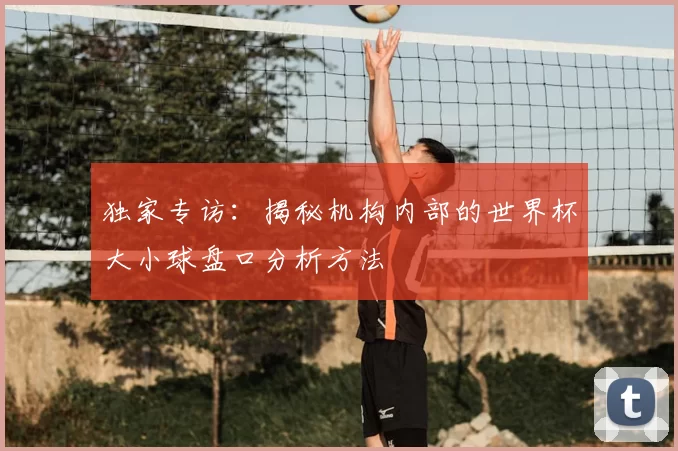 独家专访：揭秘机构内部的世界杯大小球盘口分析方法