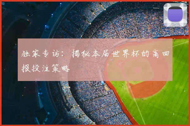 独家专访：揭秘本届世界杯的高回报投注策略